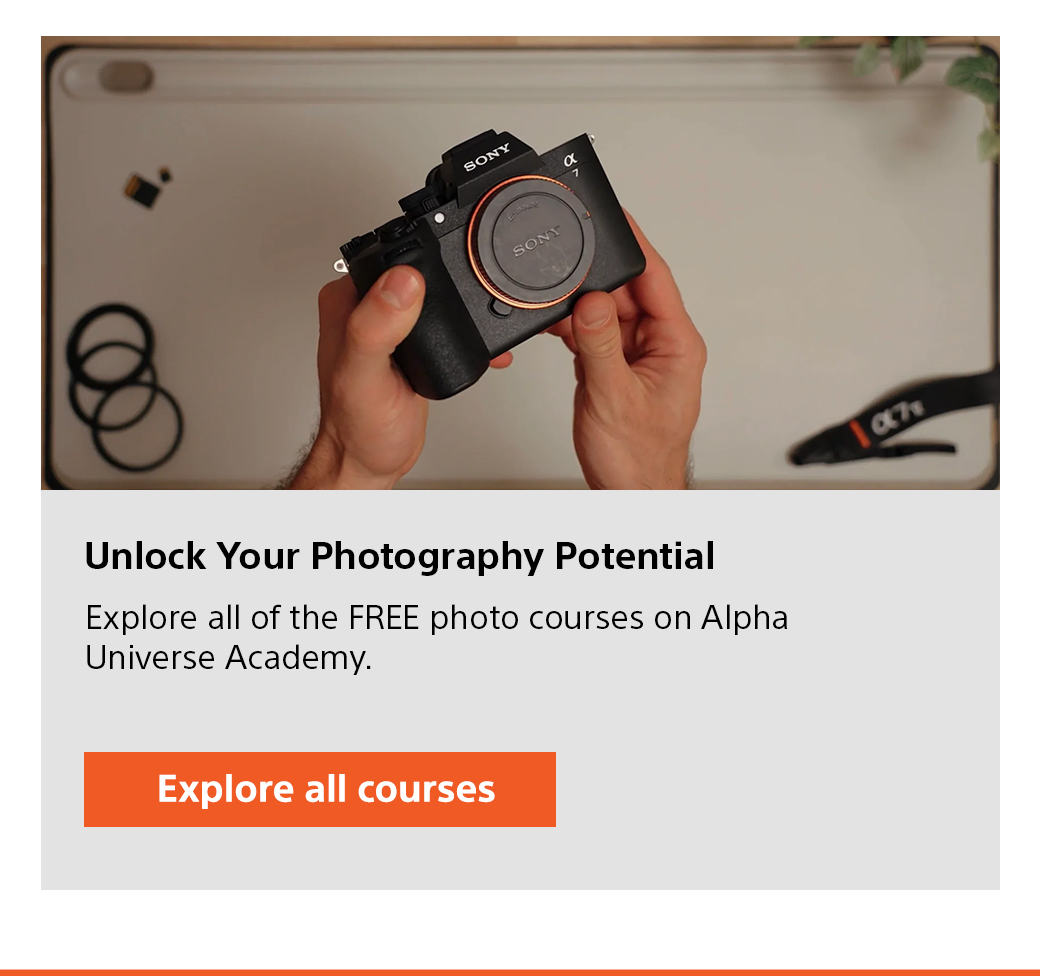 Unlock Your Photography Potential | Explore all of the Free photo courses on Alpha Universe Academy. Explore all courses