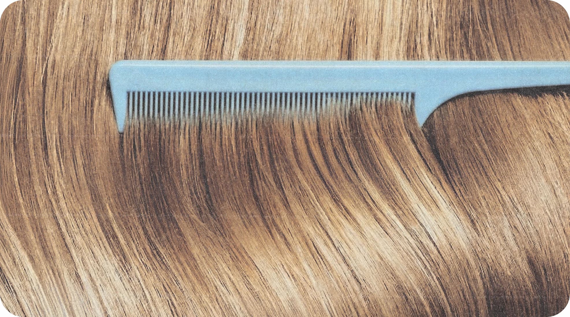 Why I Created holi (locks)