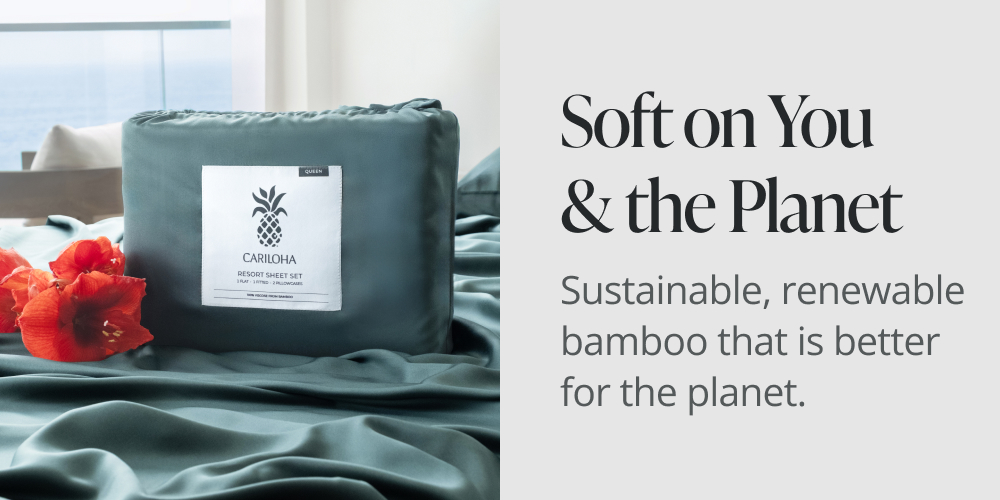 Soft on You & the Plant