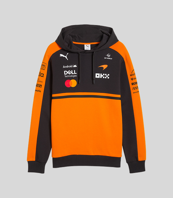 Team Hoodie
