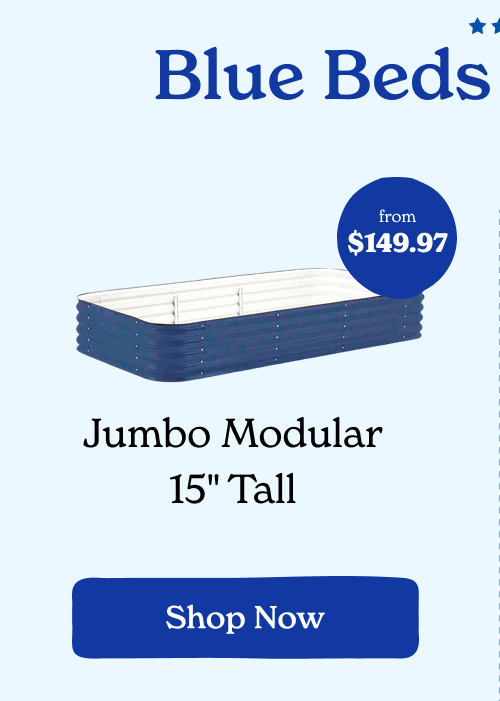 Jumbo Modular 15" Tall