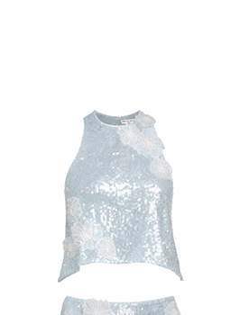 Sequin Floral Appliqué Crop Top