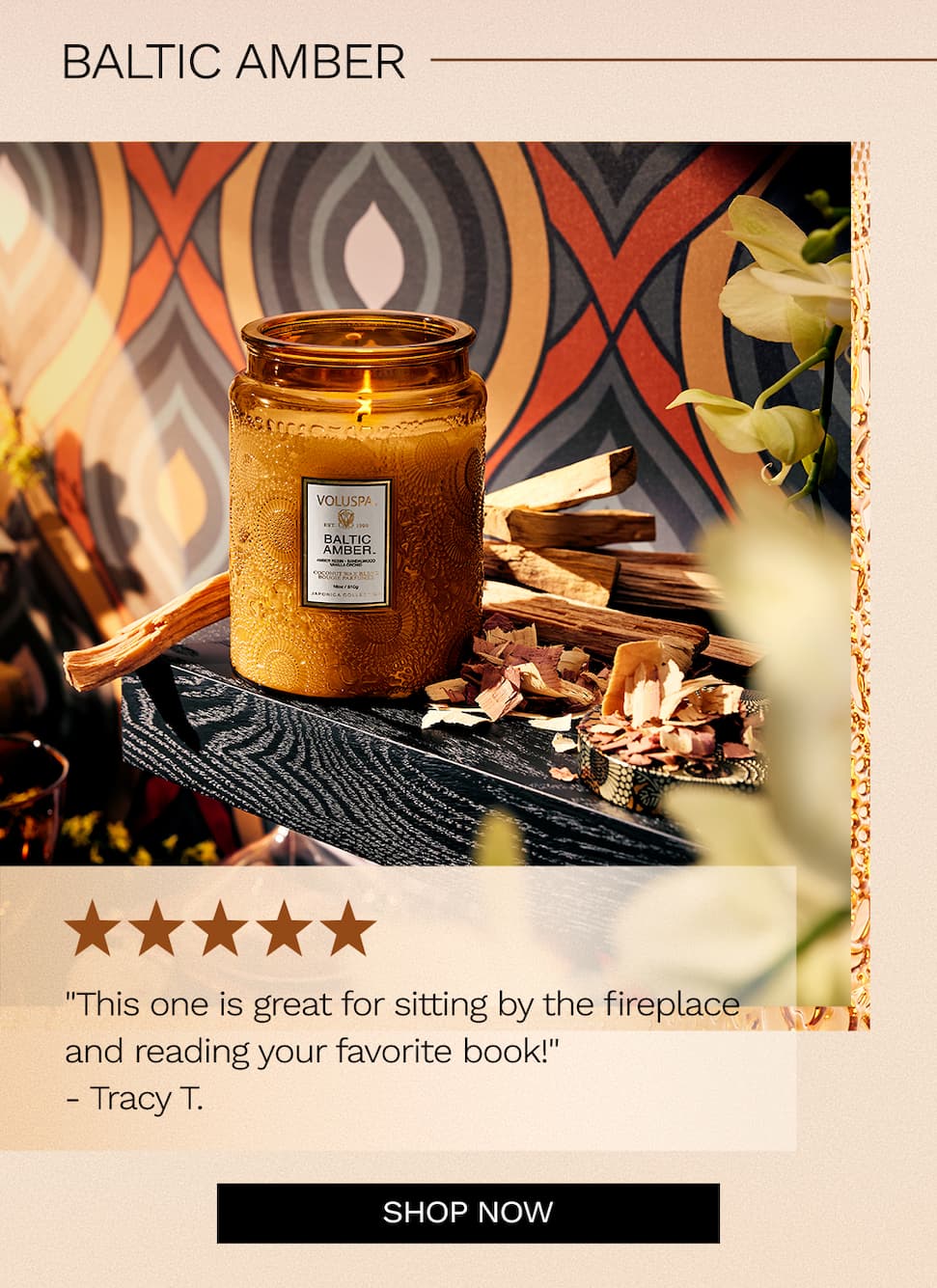 Baltic Amber. Shop now.