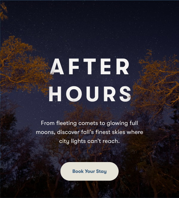 After Hours