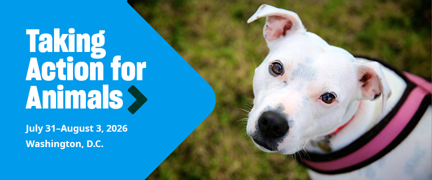 A white dog starting a camera, text reads: “Taking Action for Animals. July 31–August 3, 2026. Washington, D.C.”