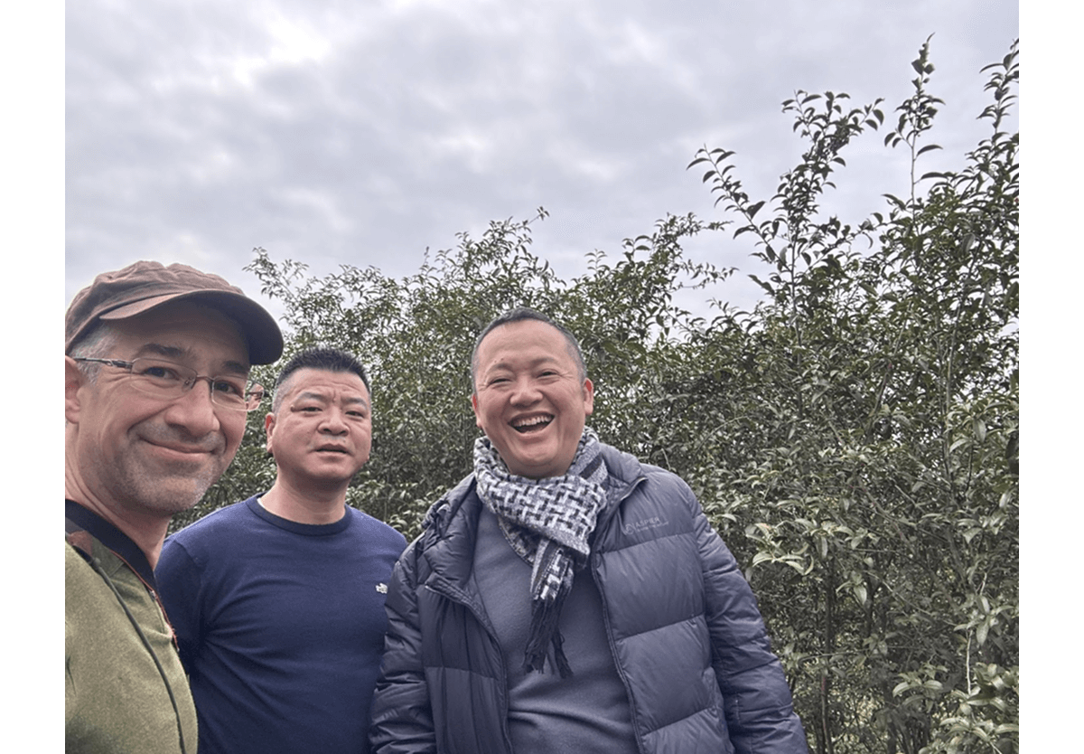 FUDING WHITE TEA LEGEND 3 AWESOME STYLES (2010, 2011, 2019) TEA GROWER MEI XIANJING Intangible Cultural Heritage of China We met Mr. Mei Xiangjing thanks to the generous introduction of a mutual friend, Mr. Zhang Tao, who has been a student of tea for decades.