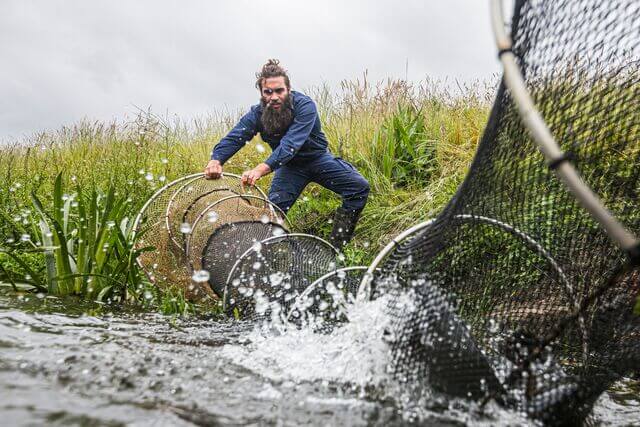Ranger in the river