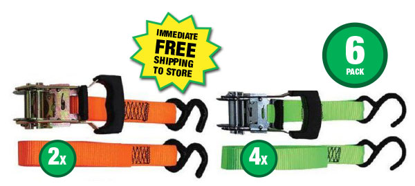 Deluxe Ratchet Tie Down - ONLY $19.99 After Rebate*!