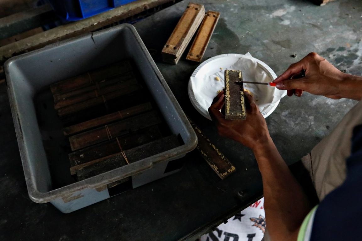 A woman holds wood block with maggots on top