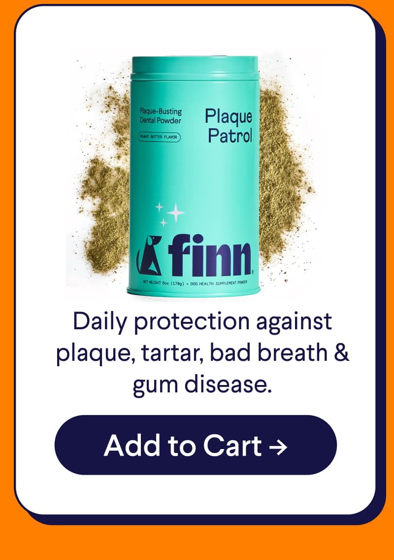 Plaque Patrol Powder: Daily protection against plaque, tartar, bad breath & gum disease.
