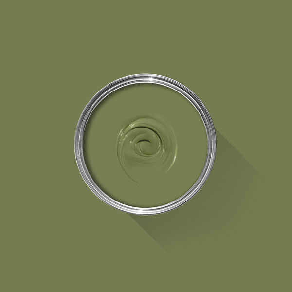 A photo looking down on a Farrow & Ball tin filled with Sap Green