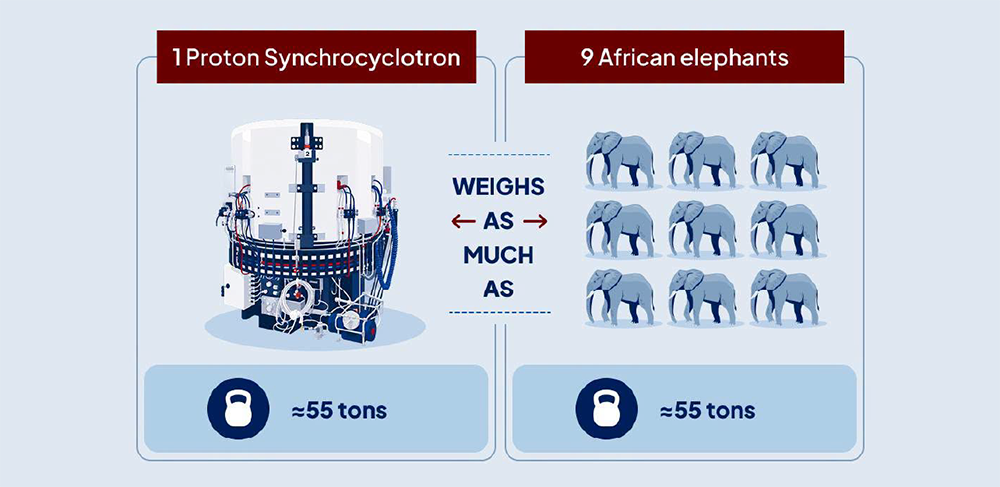 Infographic comparing the weight of one Proton Synchrocyclotron and 9 African Elephants.