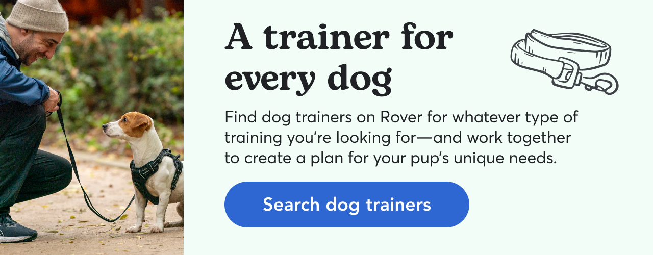 Find dog trainers on Rover for whatever type of training you’re looking for—and work together to create a plan for your pup’s unique needs. Search dog trainers