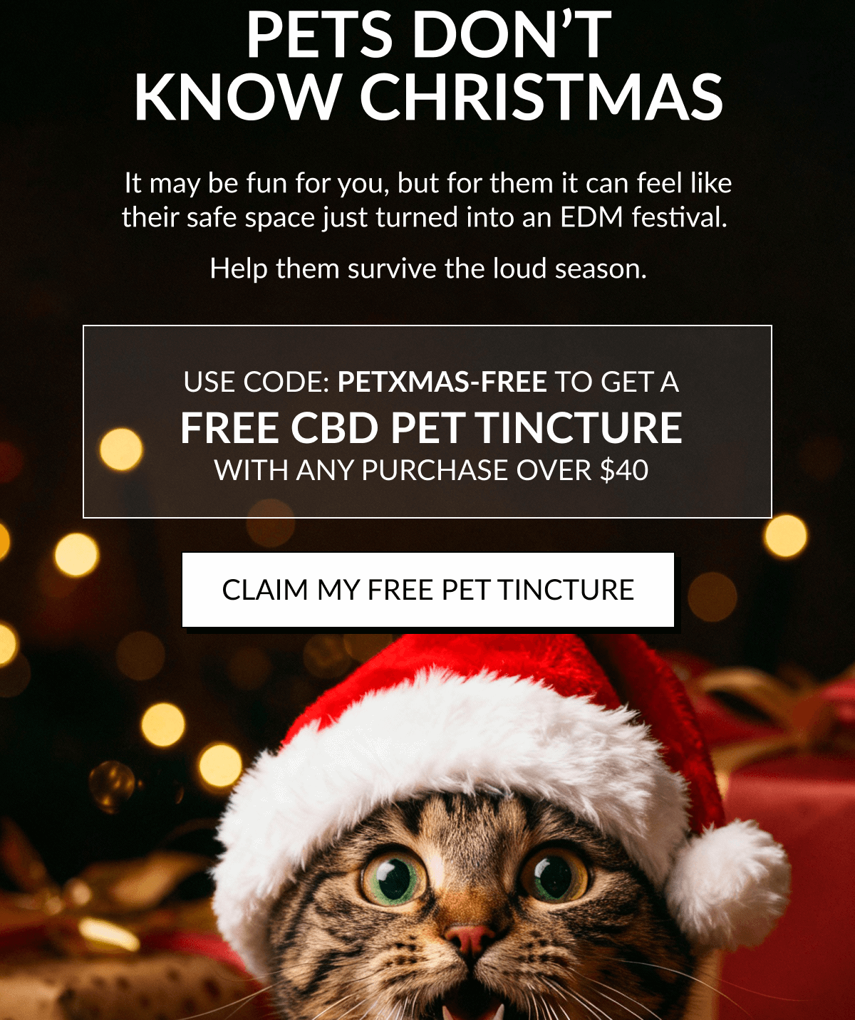 PETS DON’T KNOW CHRISTMAS 