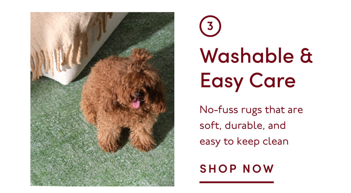 3. Washable & Easy Care | No-fuss rugs that are soft, durable, and easy to keep clean | SHOP NOW