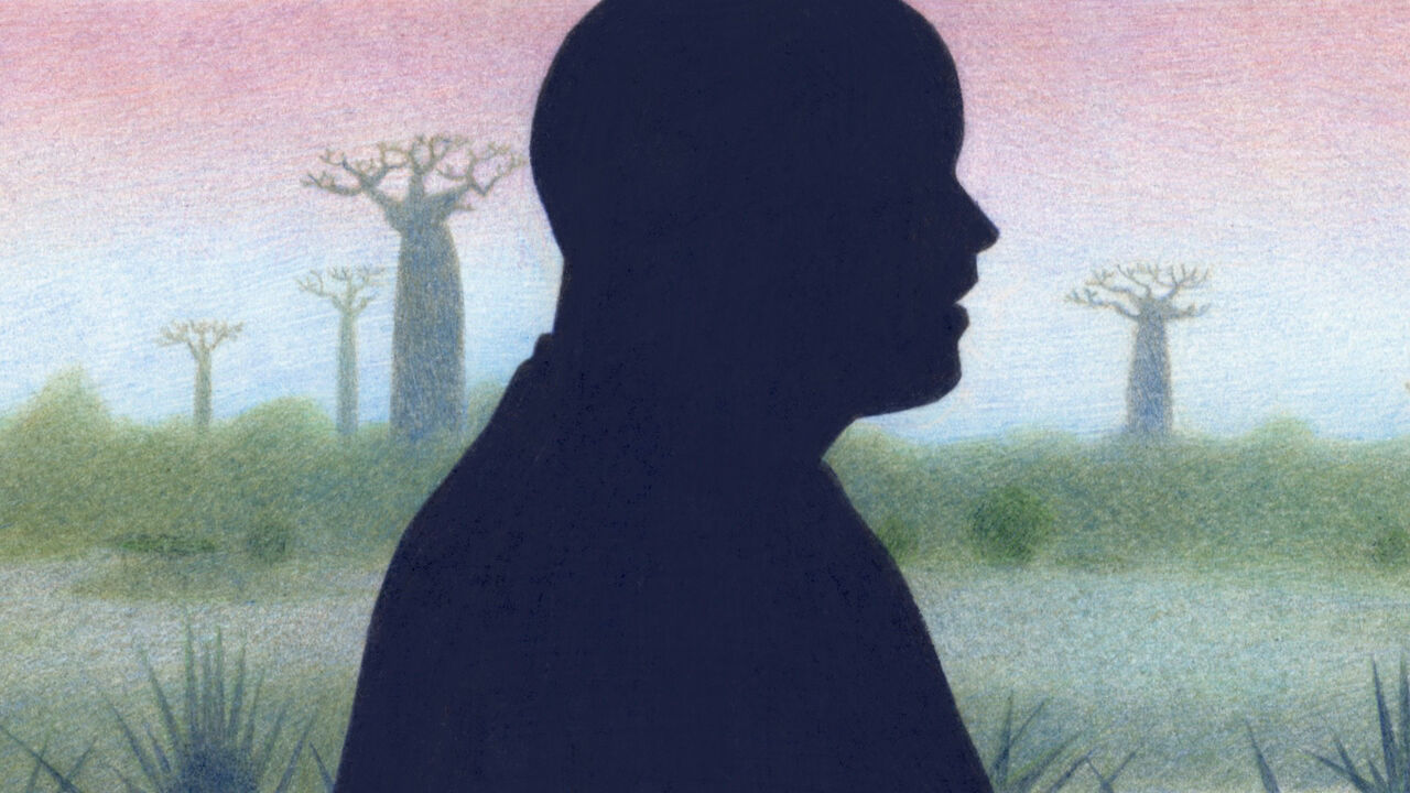 silhouetted person in profile stands in the foreground against a soft, pastel-colored landscape featuring several baobab trees