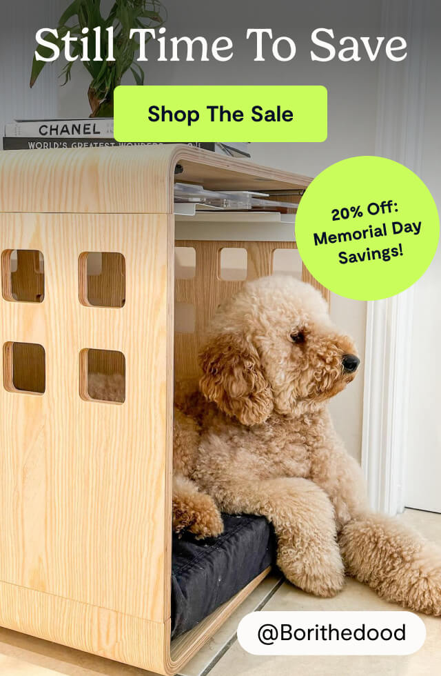 Still Time to Save