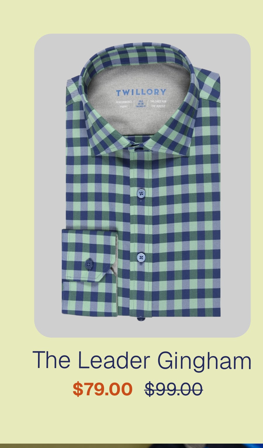 The Leader Gingham