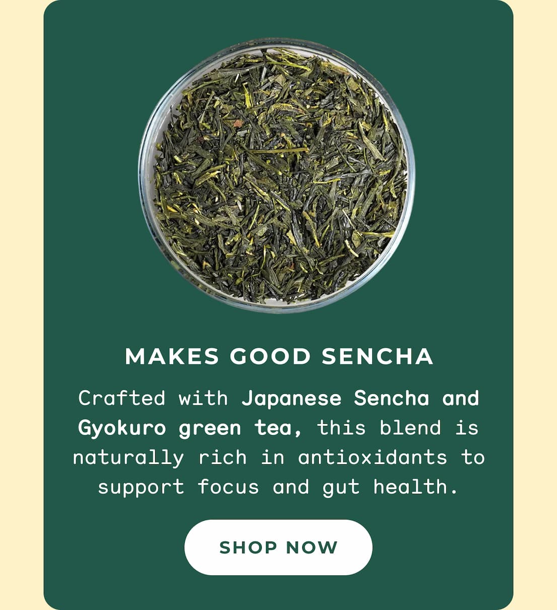 Makes good sencha >