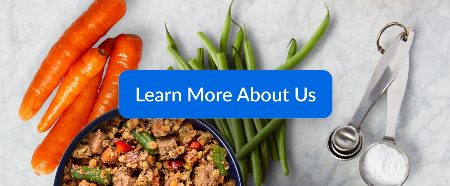 Learn More About Us