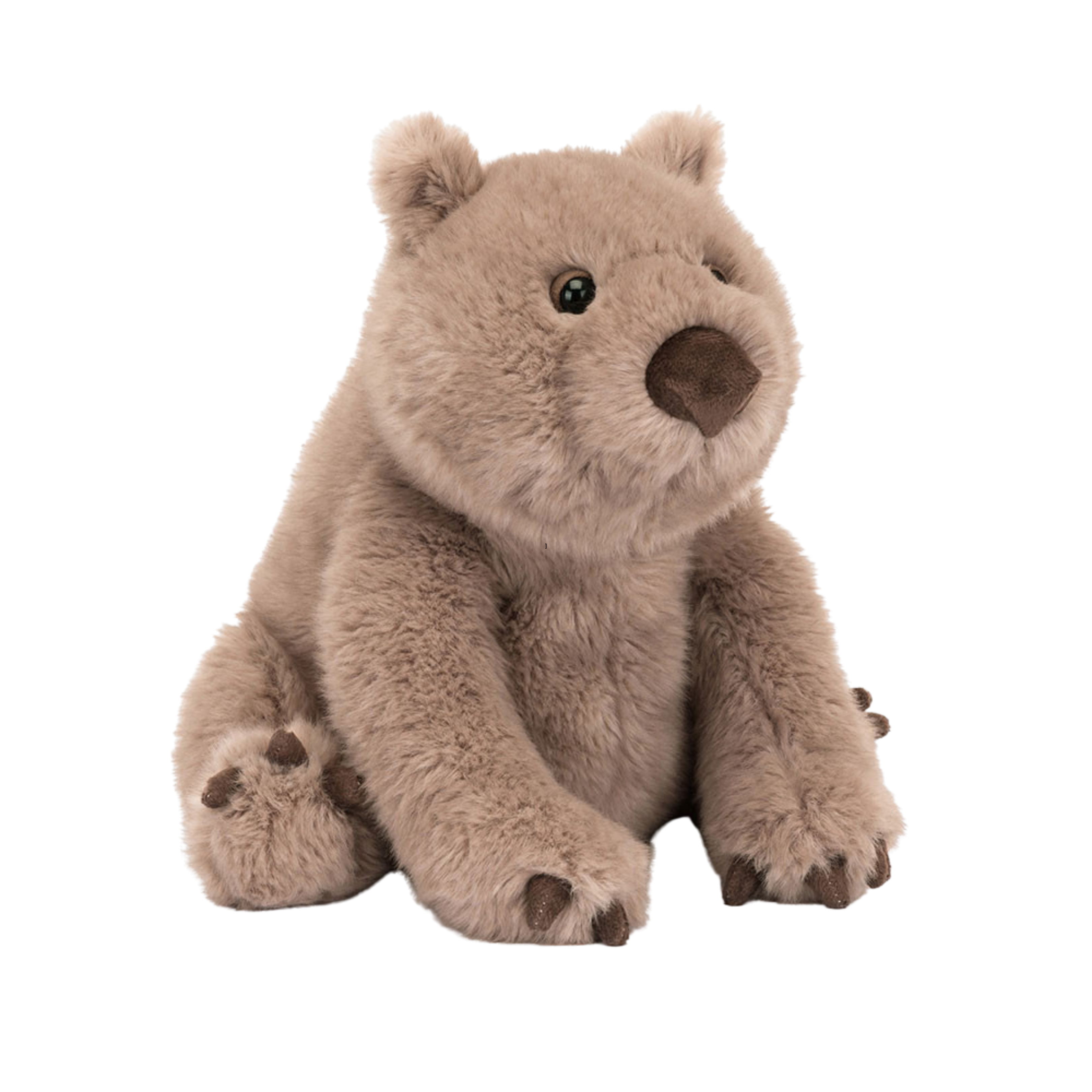 Image of Wonda Wombat