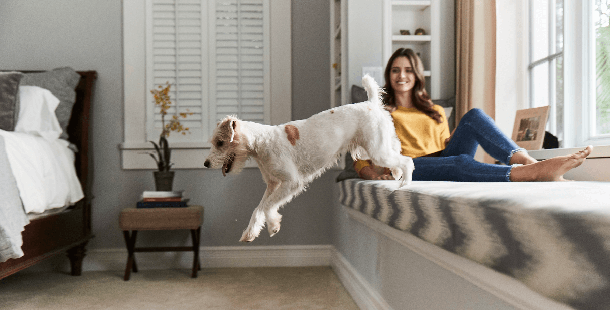 Dog Image