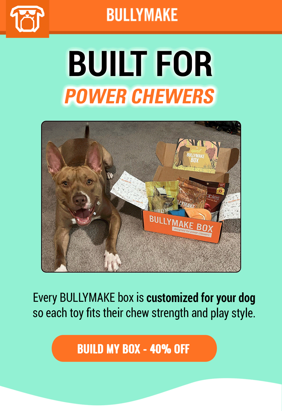 Bullymake Dog Toy Subscription Box