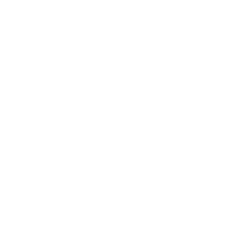 Custom