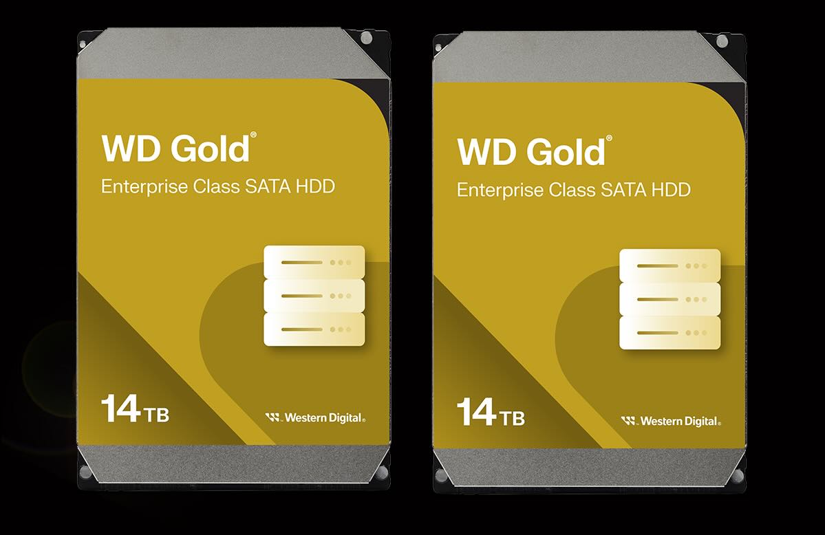 Two WD Gold 14TB Enterprise Class SATA HDDs.