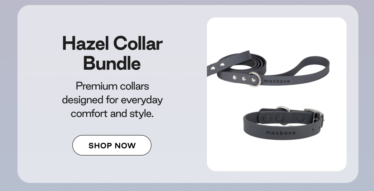 Shop Hazel Bundle 