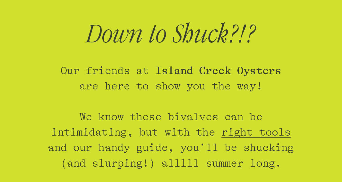 DOWN TO SHUCK?!? OUR FRIENDS AT ISLAND CREEK OYSTERS ARE HERE TO SHOW YOU THE WAY! WE KNOW THSE BIVALVES CAN BE INDIMIDATING, BUT WITH THE RIGHT TOOLS AND OUR HANDY GUIDE, YOU'LL BE SHUCKING (AND SLURPING!) ALLLLL SUMMER LONG.