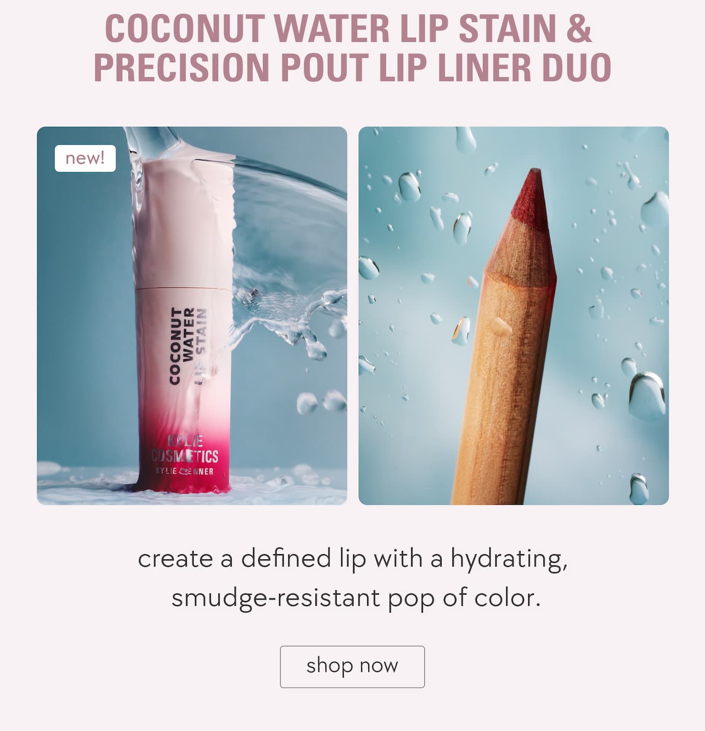 coconut water lip stain & precision pout lip liner duo