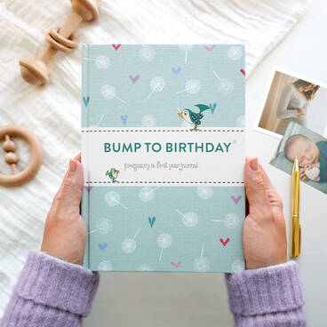 Bump To Birthday Journal