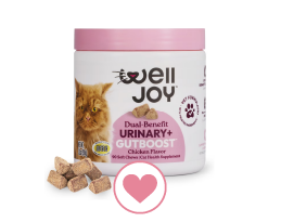 WellJoy™ Dual Benefit Urinary+ Gut Boost