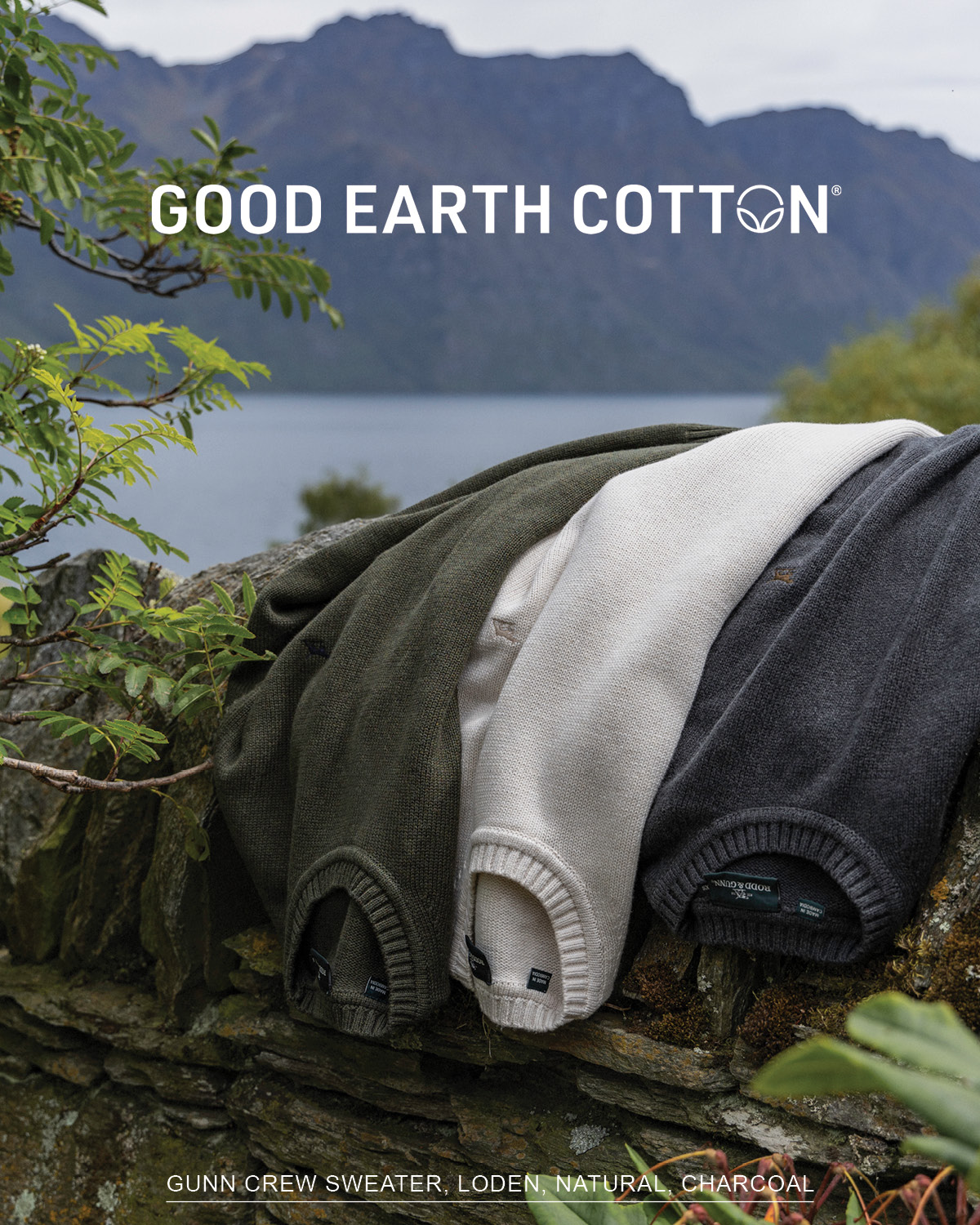 Shop Gunn Crew Knit online and instore at Rodd & Gunn