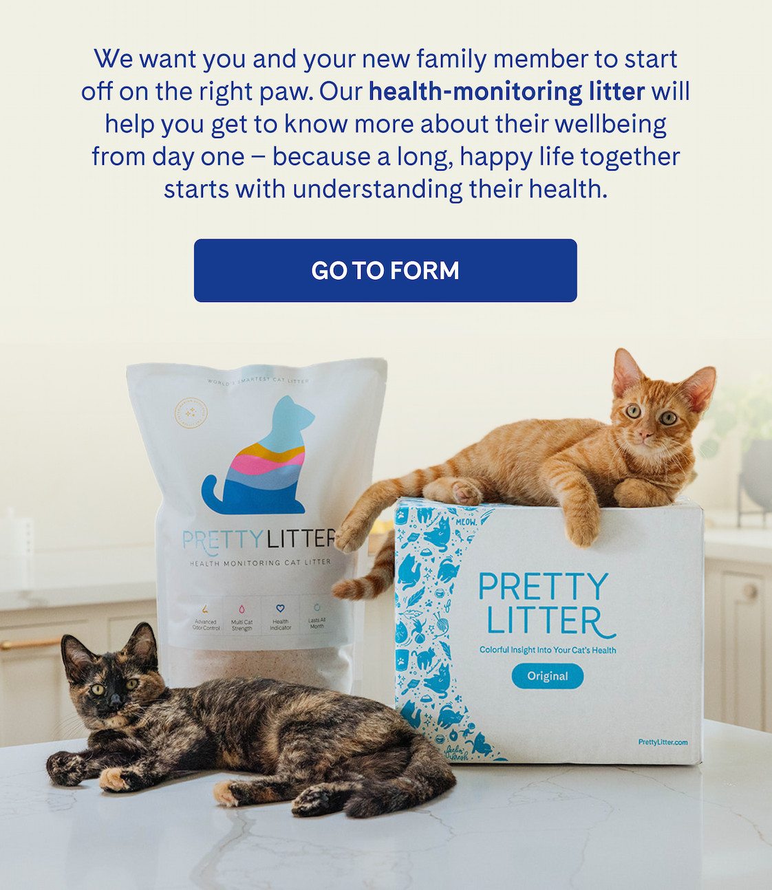 Apply to get a FREE kitten | GO TO FORM