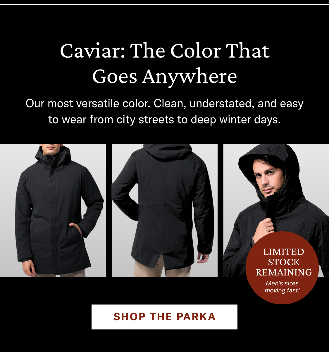 image block of the caviar color apex parka