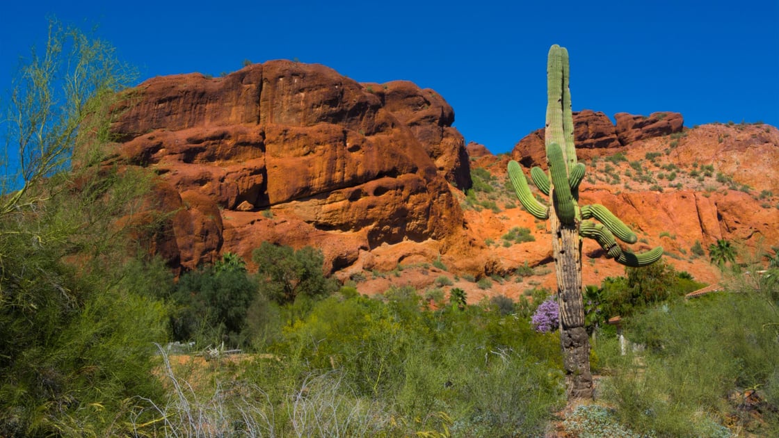 camelback-mountain-1