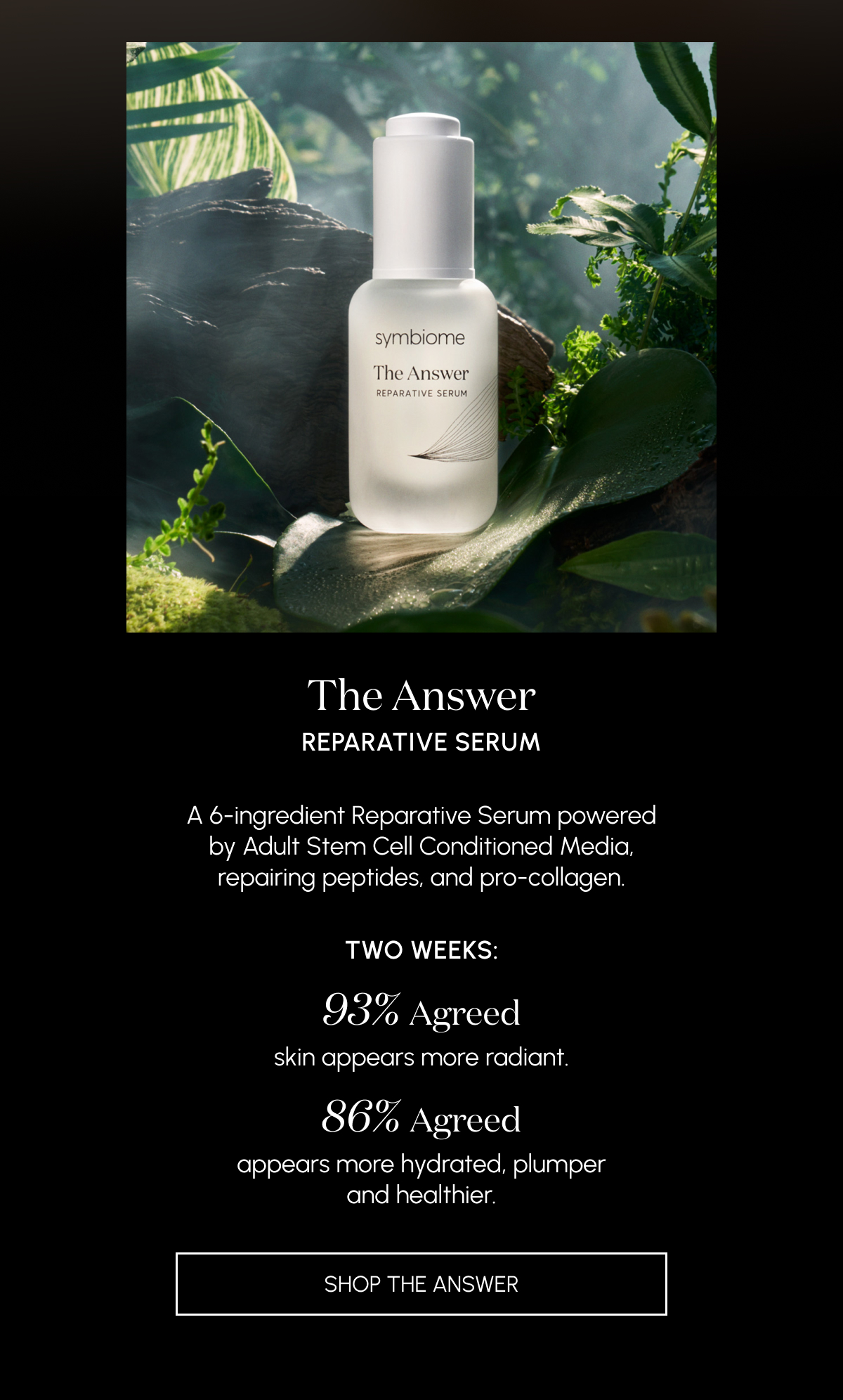 Shop The Answer