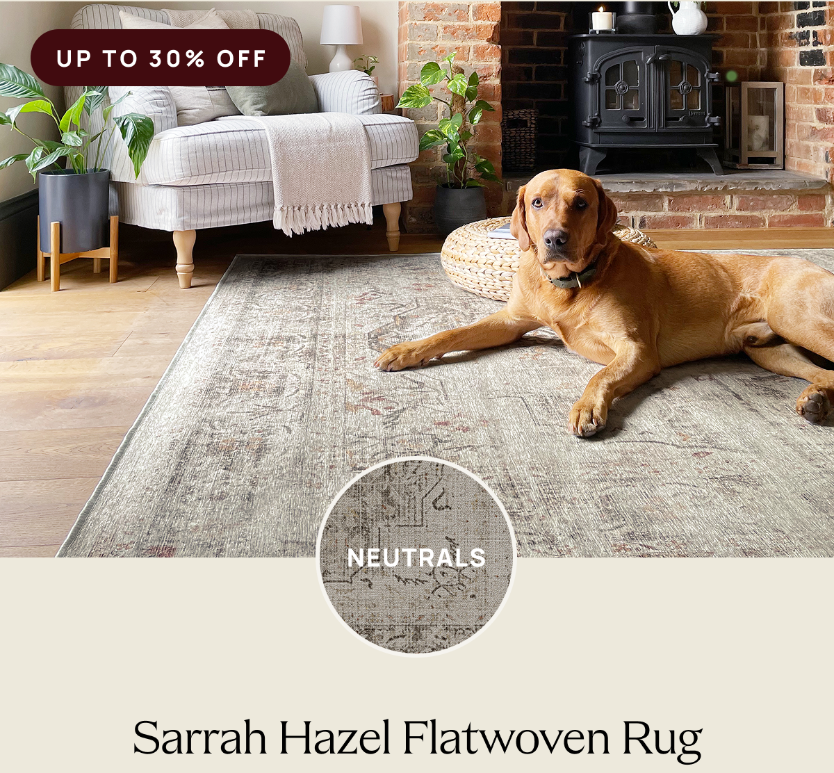 Sarrah Hazel Flatwoven Rug 