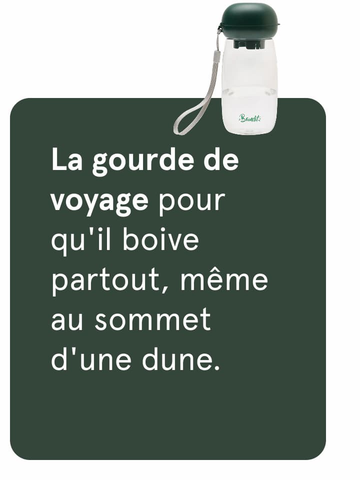 Gourde
