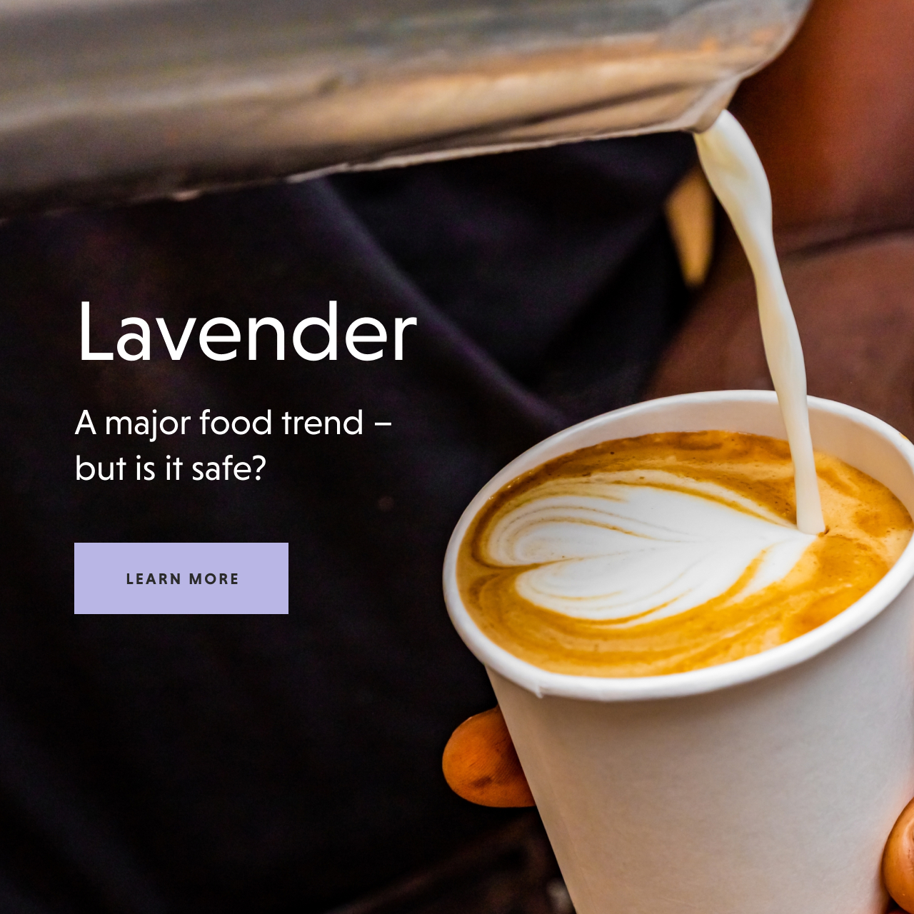 Lavender - Is it safe? - LEARN MORE