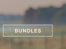 Bundles