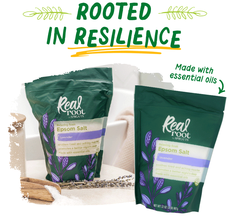 Rooted In Resilience