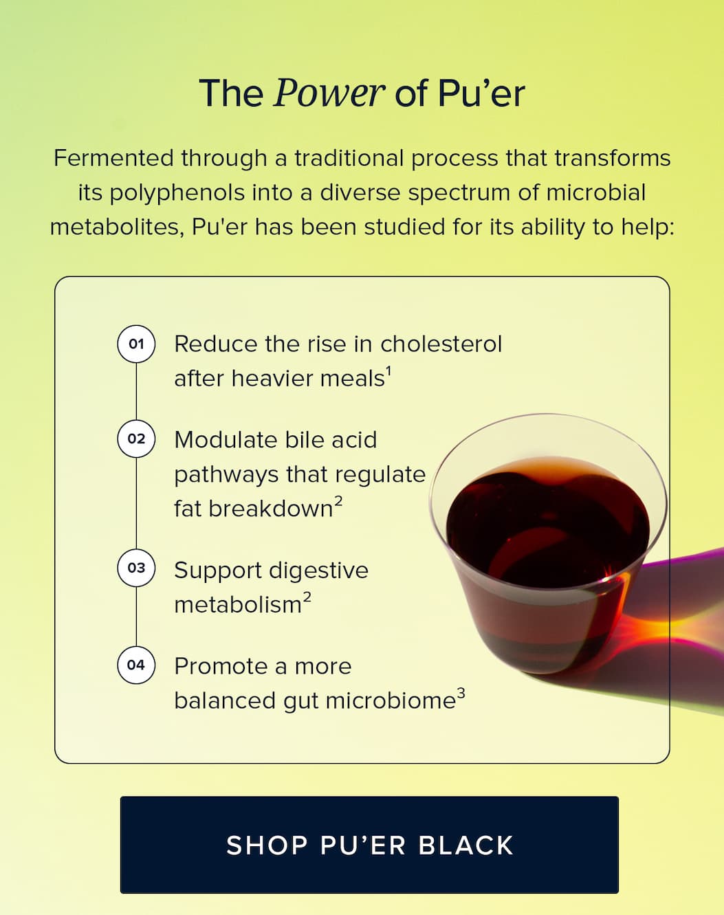 Pu'er Black Tea