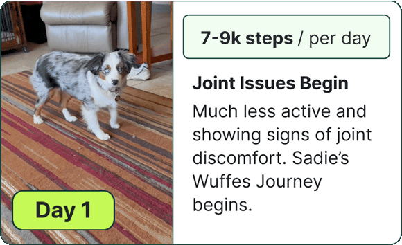 Joint Issues Begin