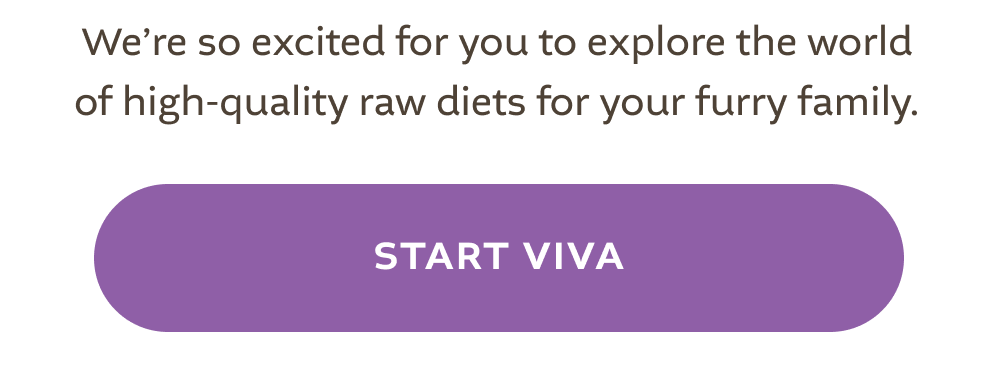 [START VIVA]