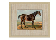 Carson Kressley Noble Spirit Art