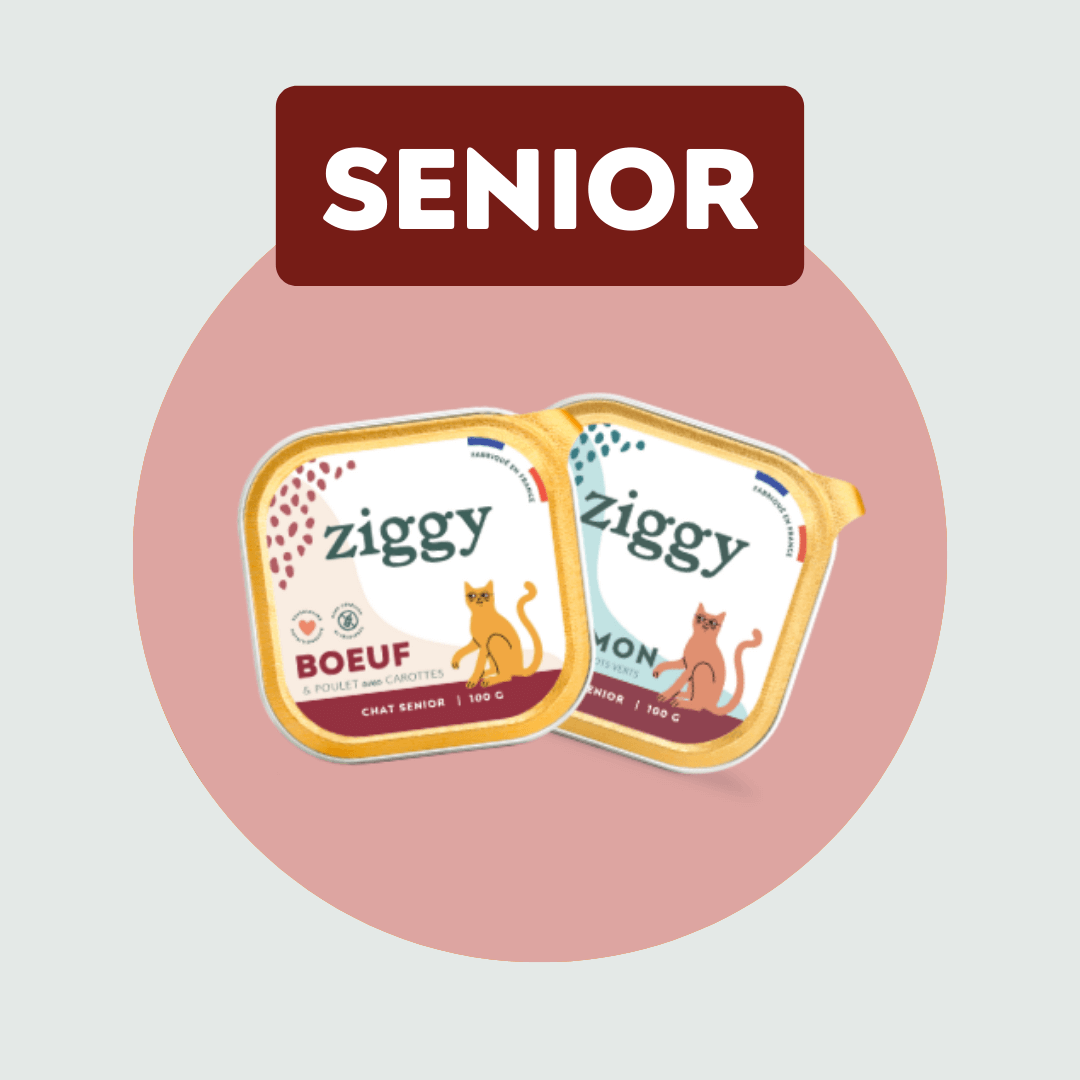 Senior
