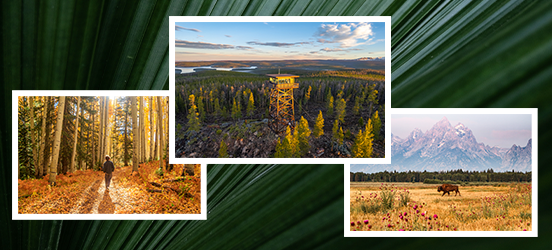 A collection of the winning photographs from the Share the Experience photo contest